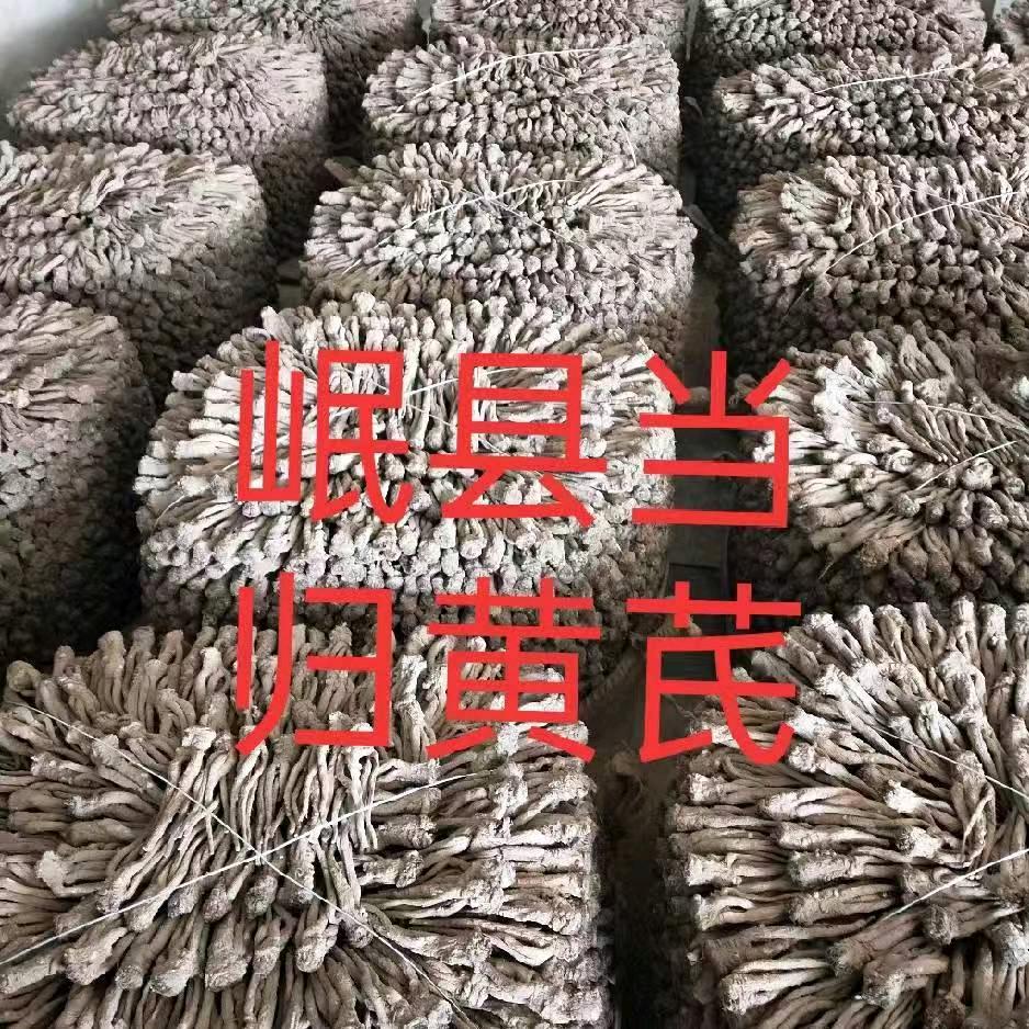 甘肃岷县当归黄芪