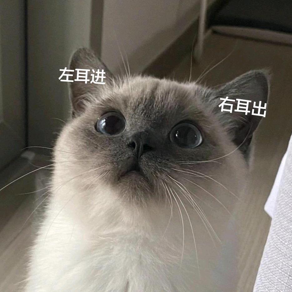 司音