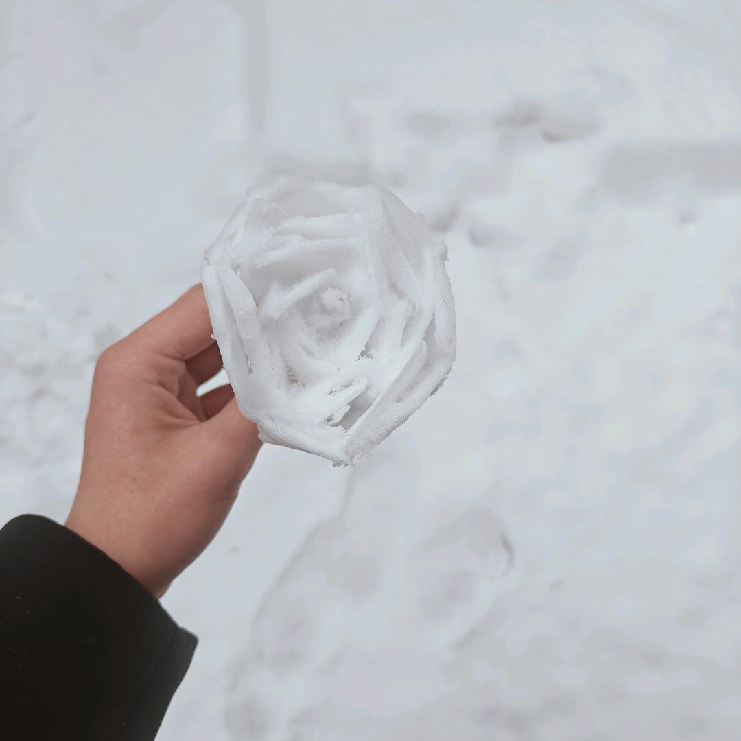 玄月三七头像