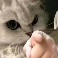 挽苏