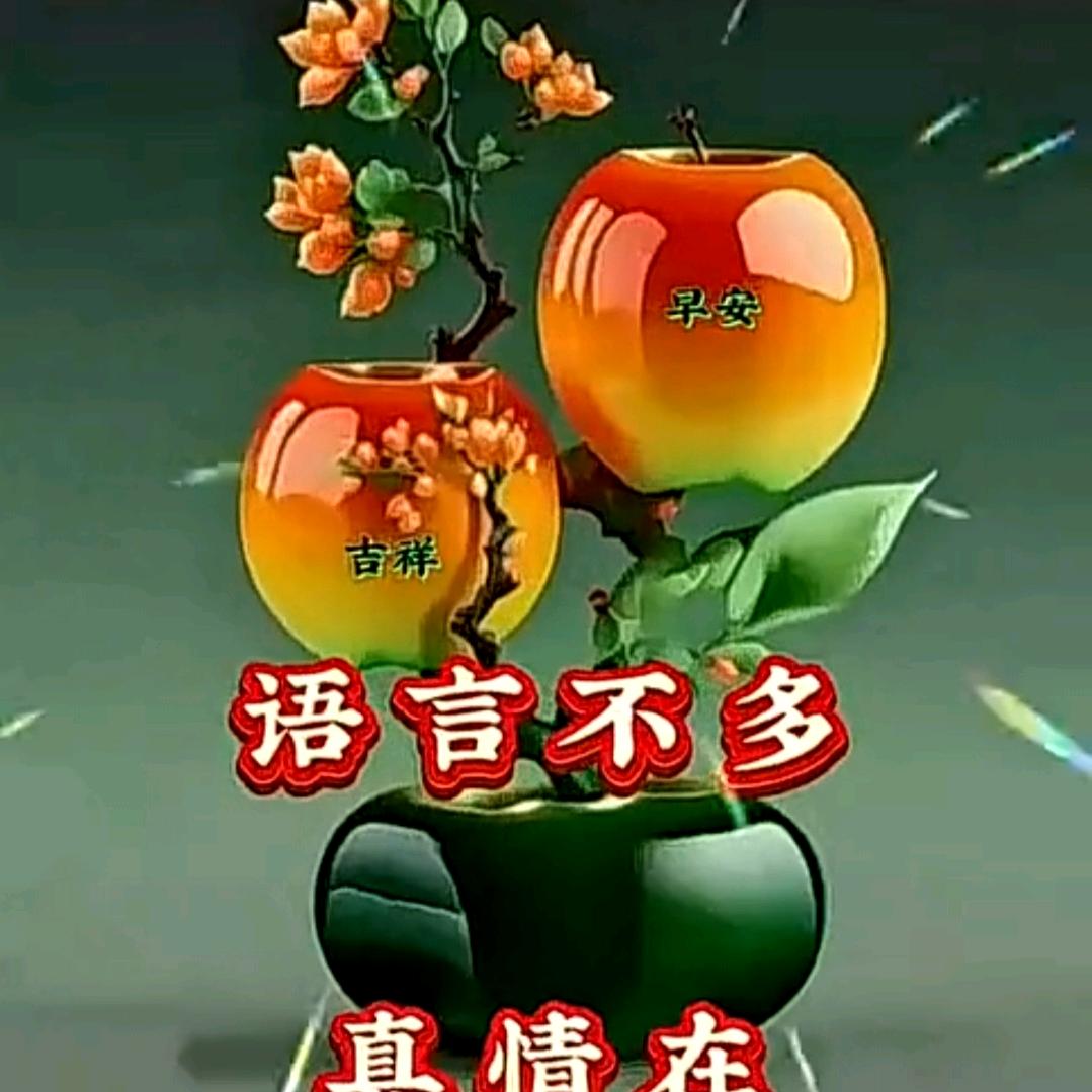 布衣（1）
