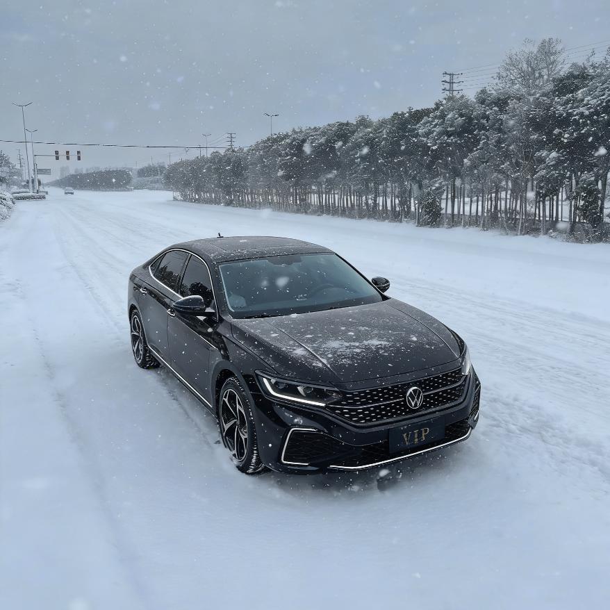 B8-帕萨特🚗
