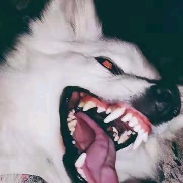 归