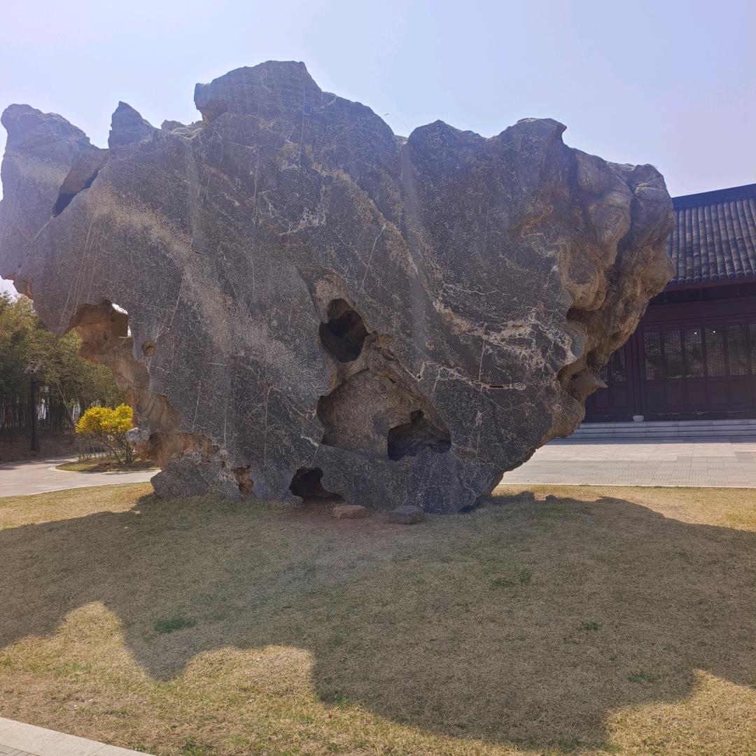 山东毛哥