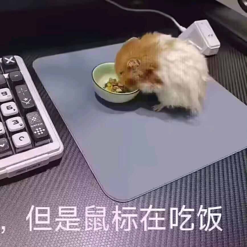 Kun Hachi（三角洲行动）