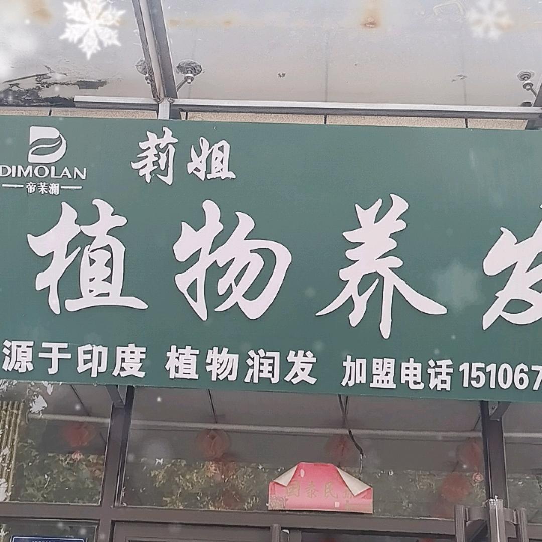 莉姐植物养发