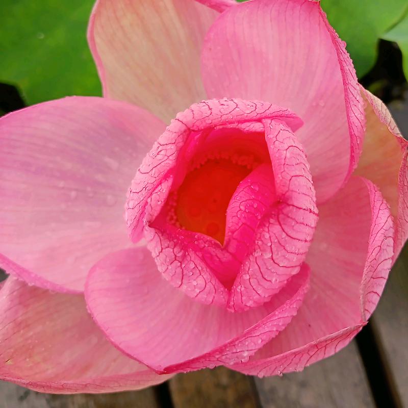 ℒℯ⃝余生Ꭽ安ᩚᮨ好࿐💞໌້ℒ