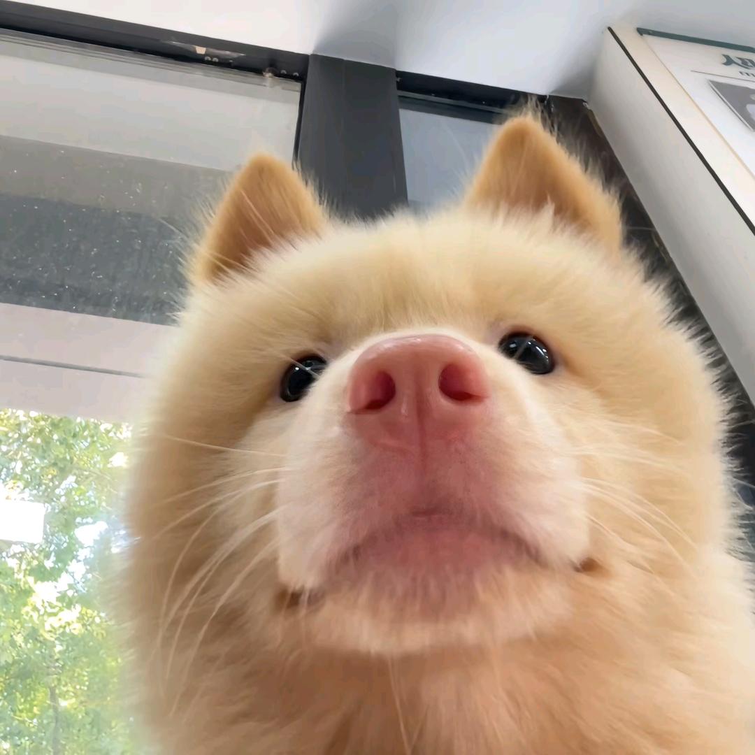 今天你想几点睡