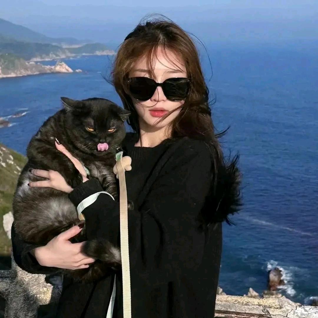 H.娜娜