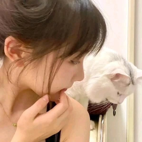 慧慧
