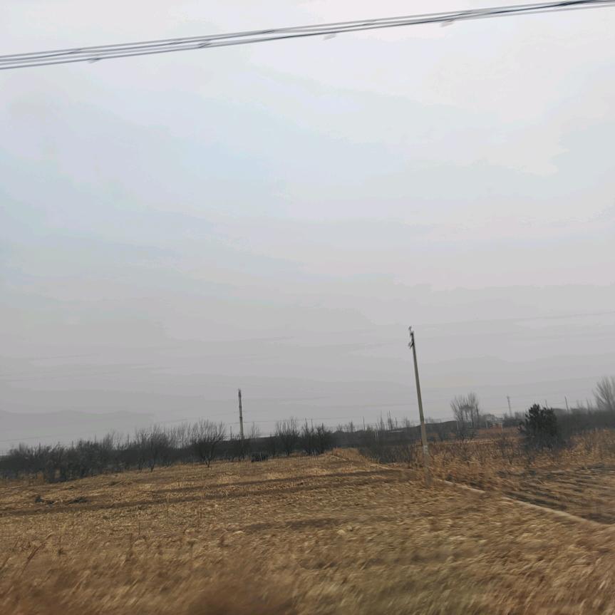 生泰
