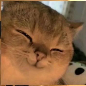 超级马里奥