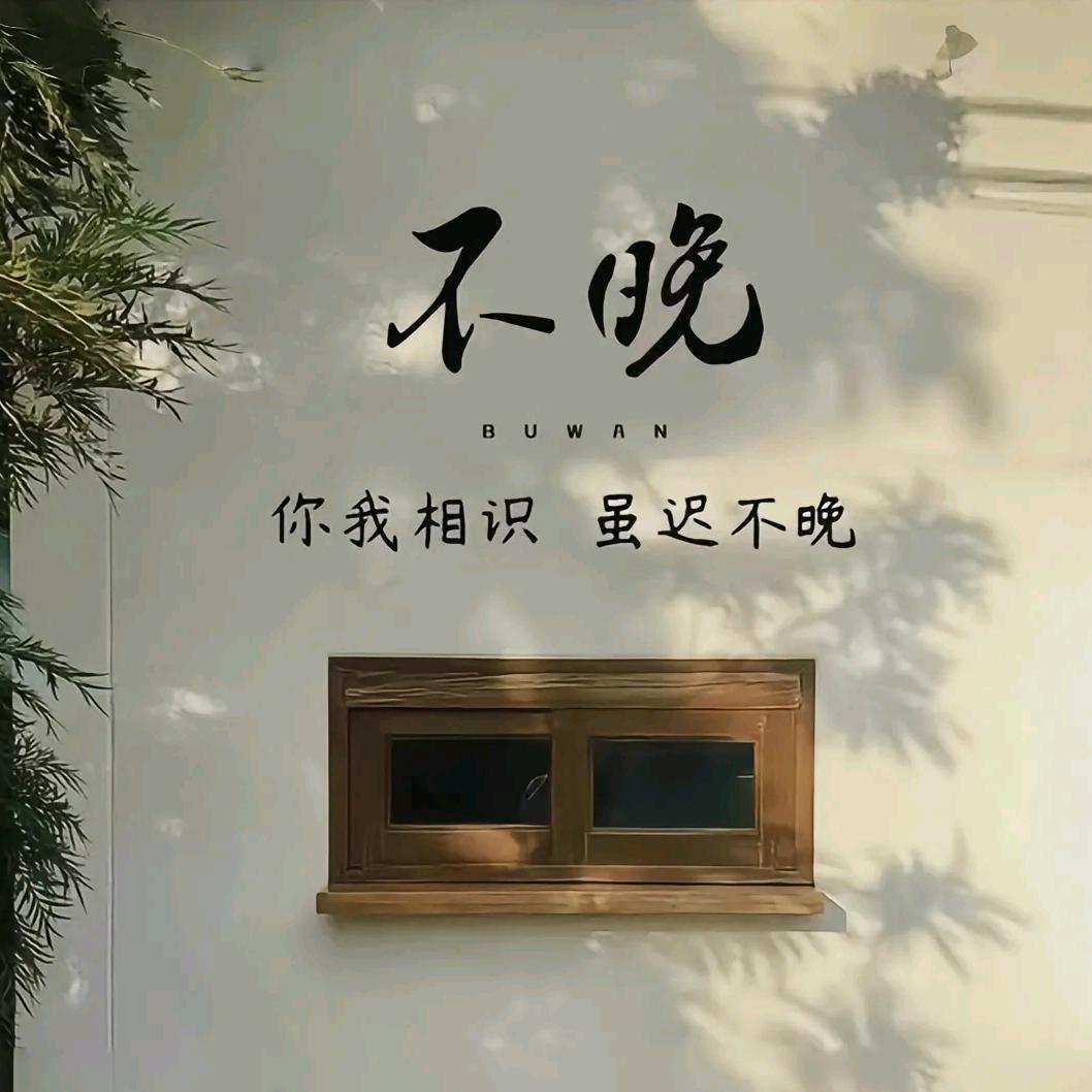 路由器没网