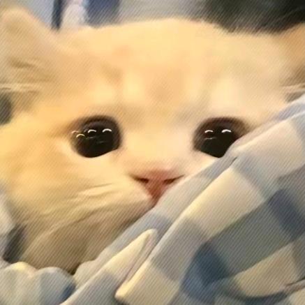 嘻嘻不嘻嘻（不要连赞，求推荐）