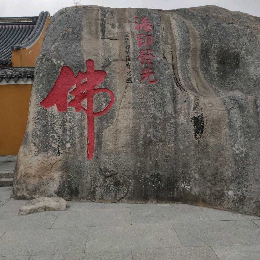 福气满满🌻🌻🌻
