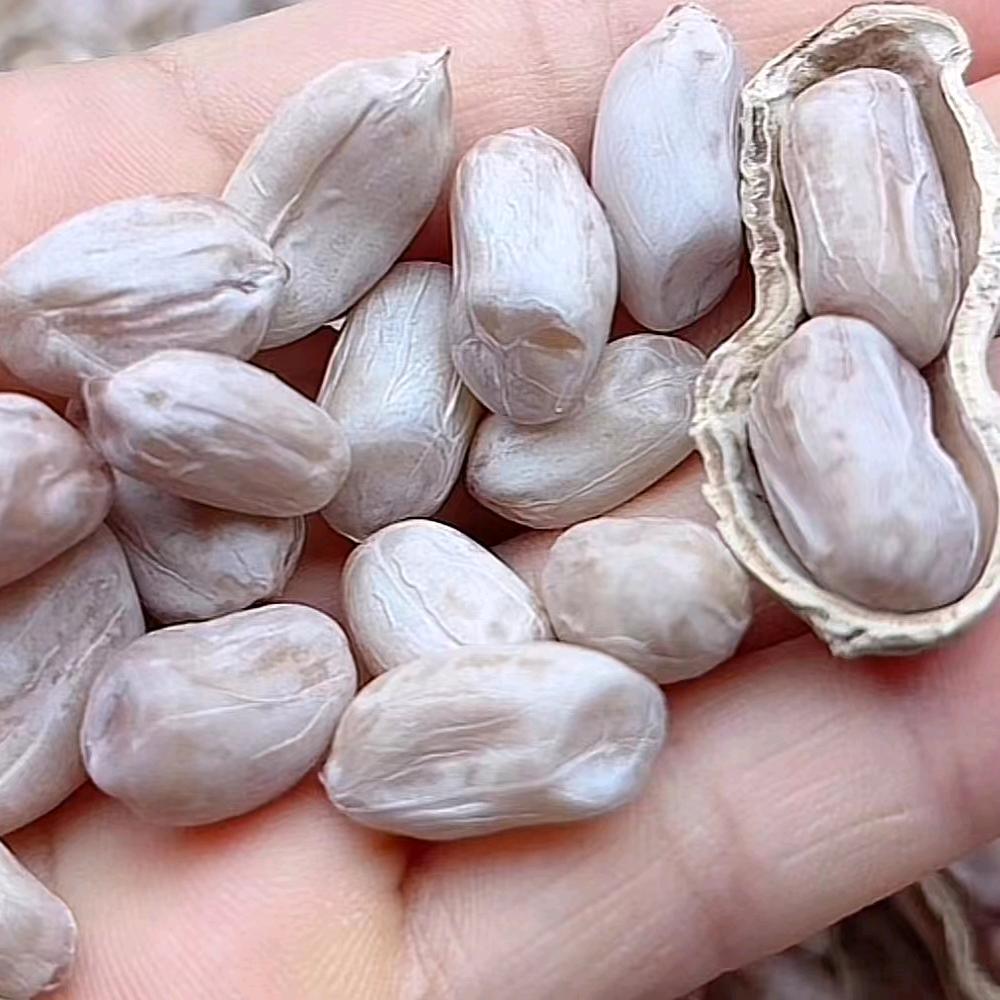 简味农户农果