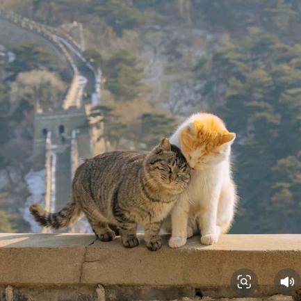 鲜果香农场