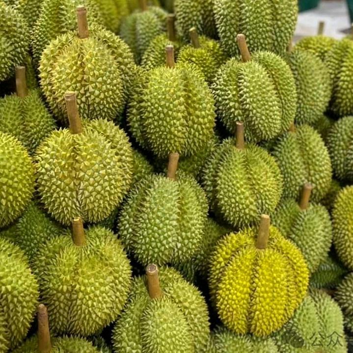 天道酬勤     厚德载物