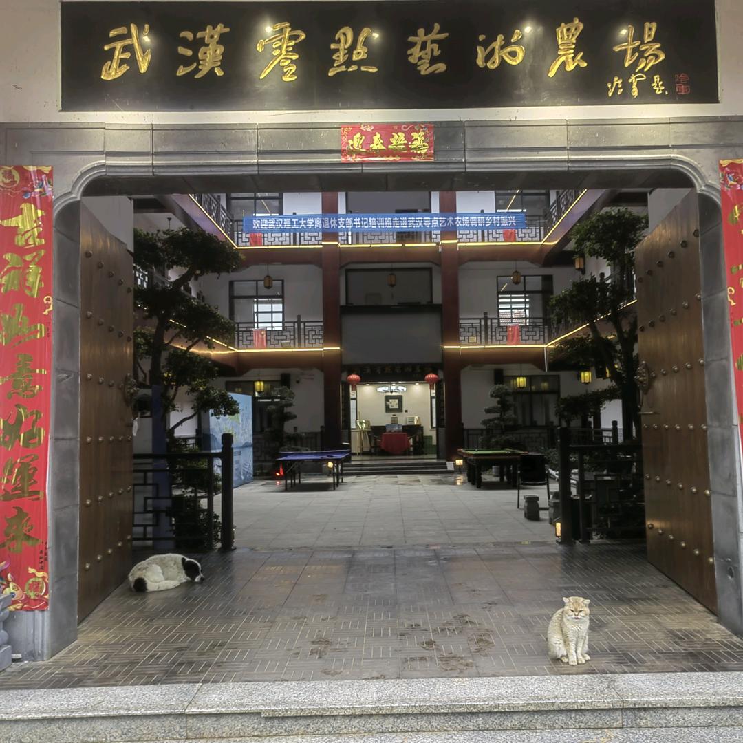武汉零点农场