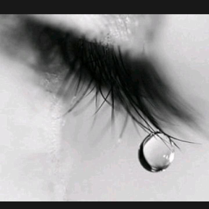 ღ᭄💞释怀🍀᭄