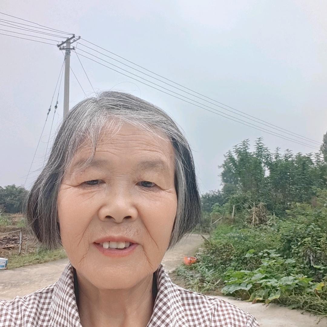 艳阳奶奶71岁新人。