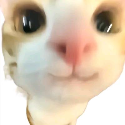 ？。。？