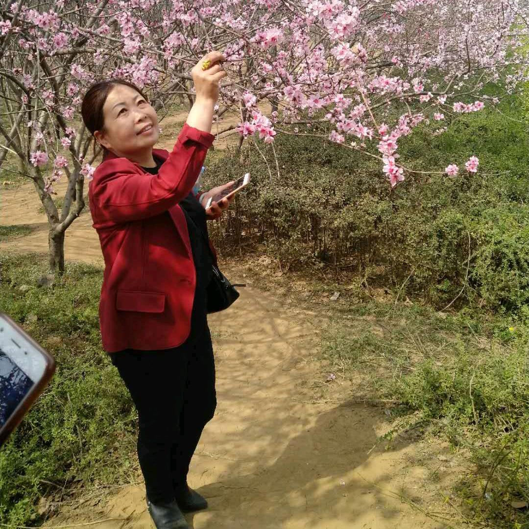 彩红