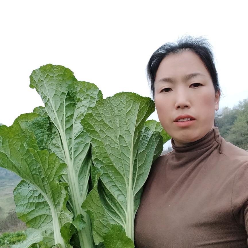 农村二姐