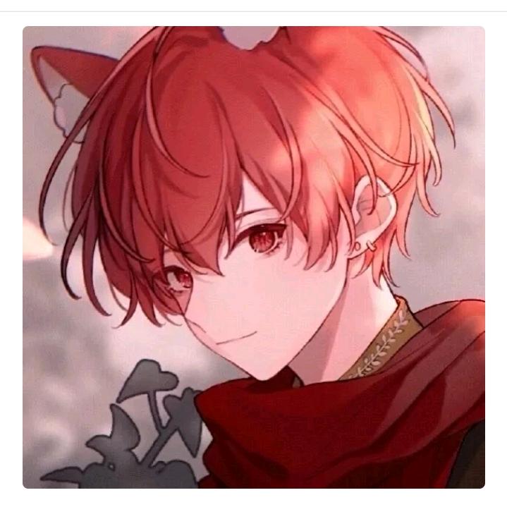 小涵涵∽和平精英