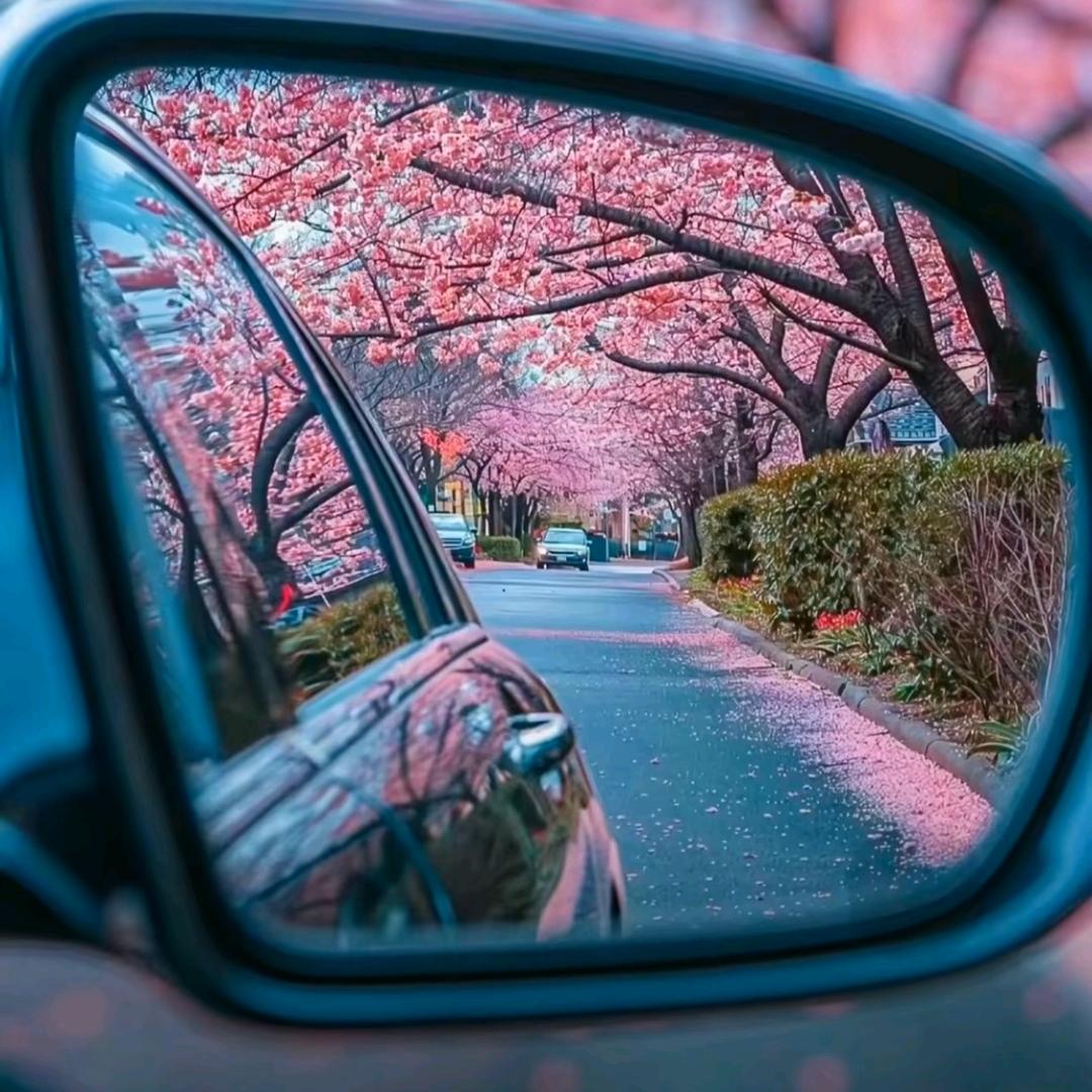 禾一
