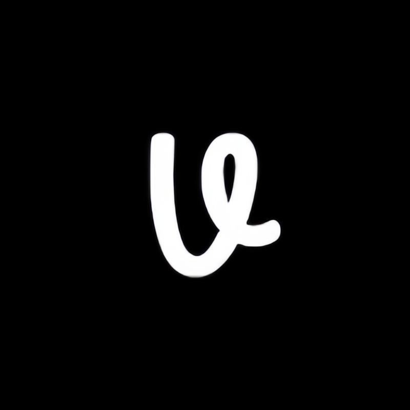 VALVOELITE服装旗舰店