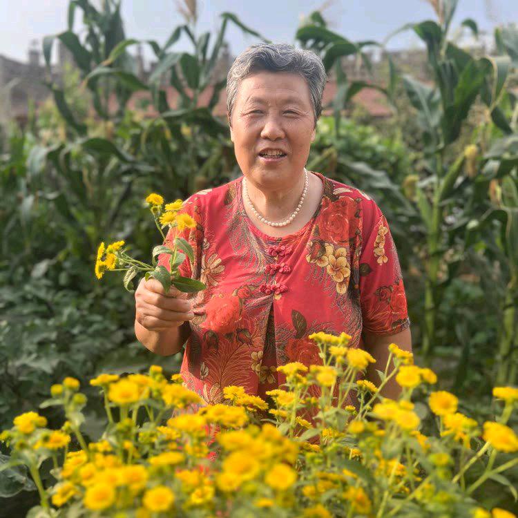 开心妈妈🌹🌹🌹