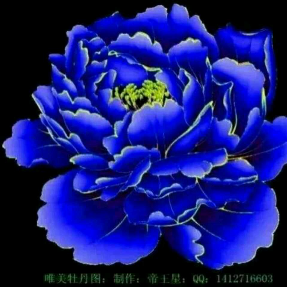 飞天向