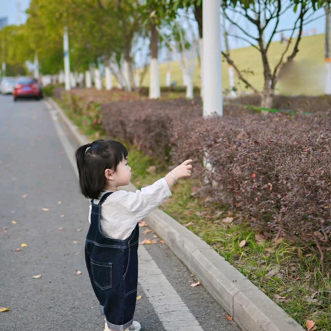 团团肉肉小号（带娃中）