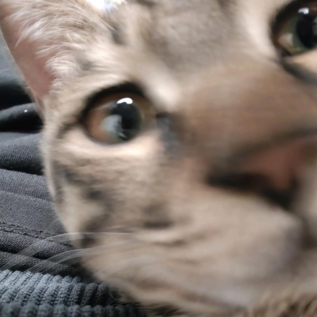 茂名唯一的嘻哈