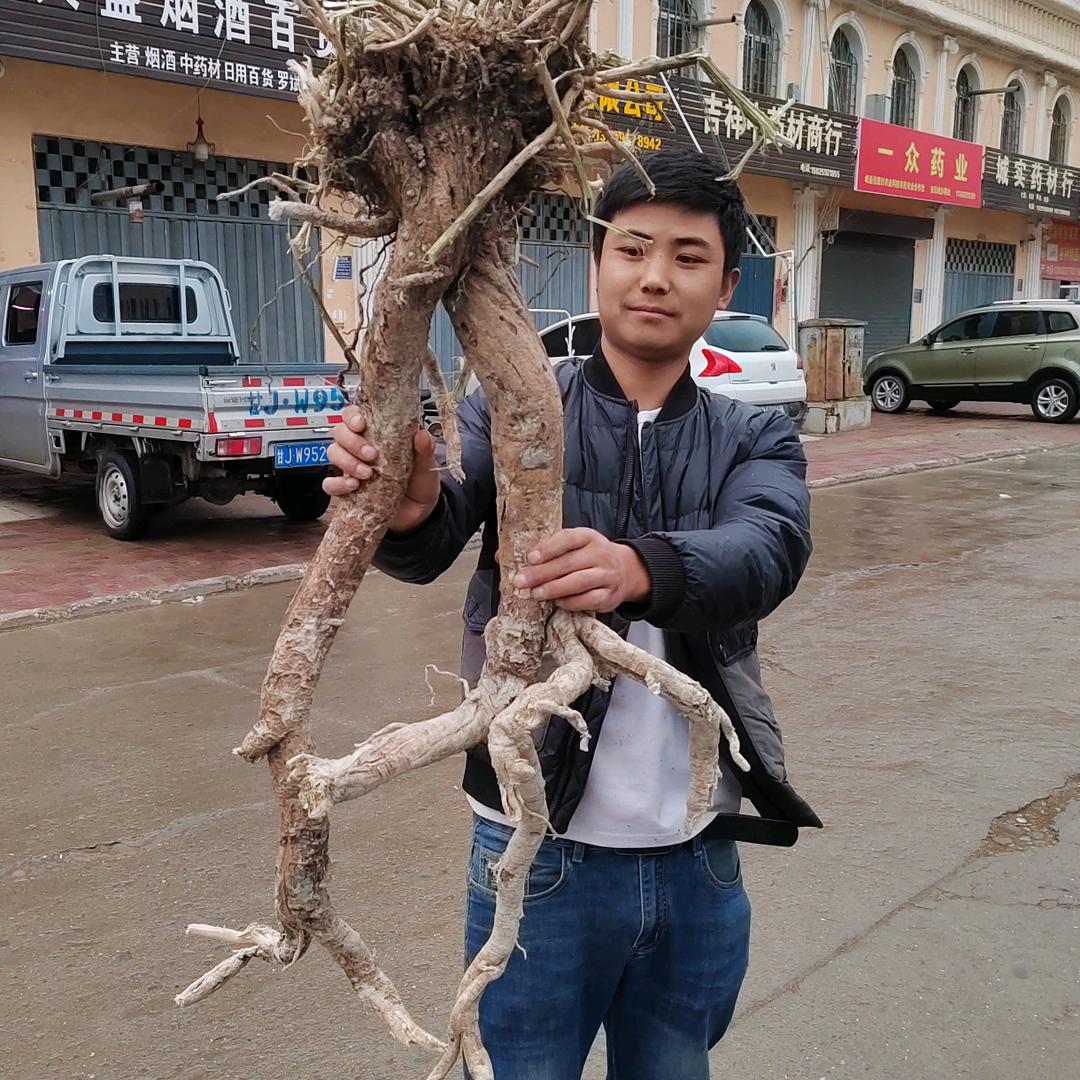 甘肃岷县小杨农特产店
