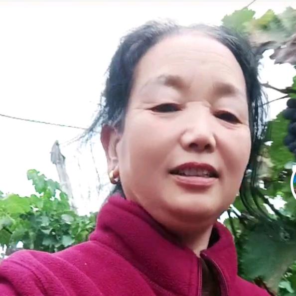 点点花馍