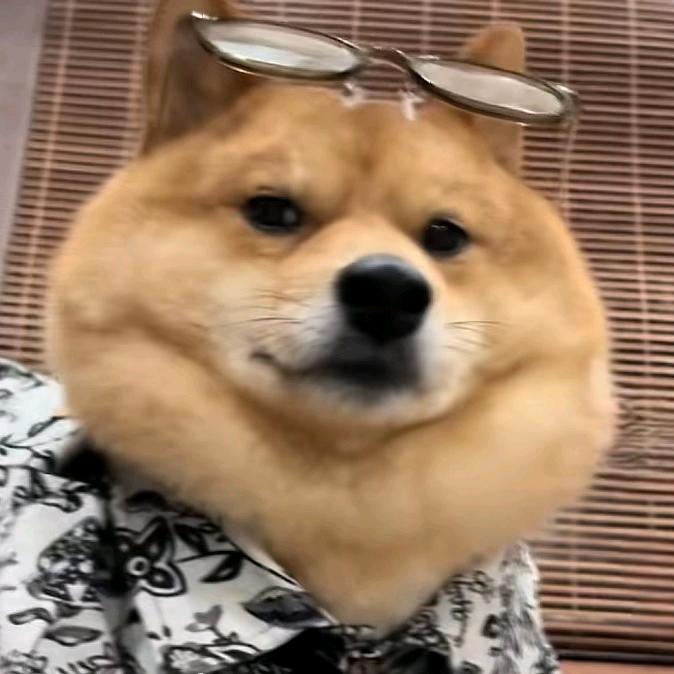 六分配的课代表