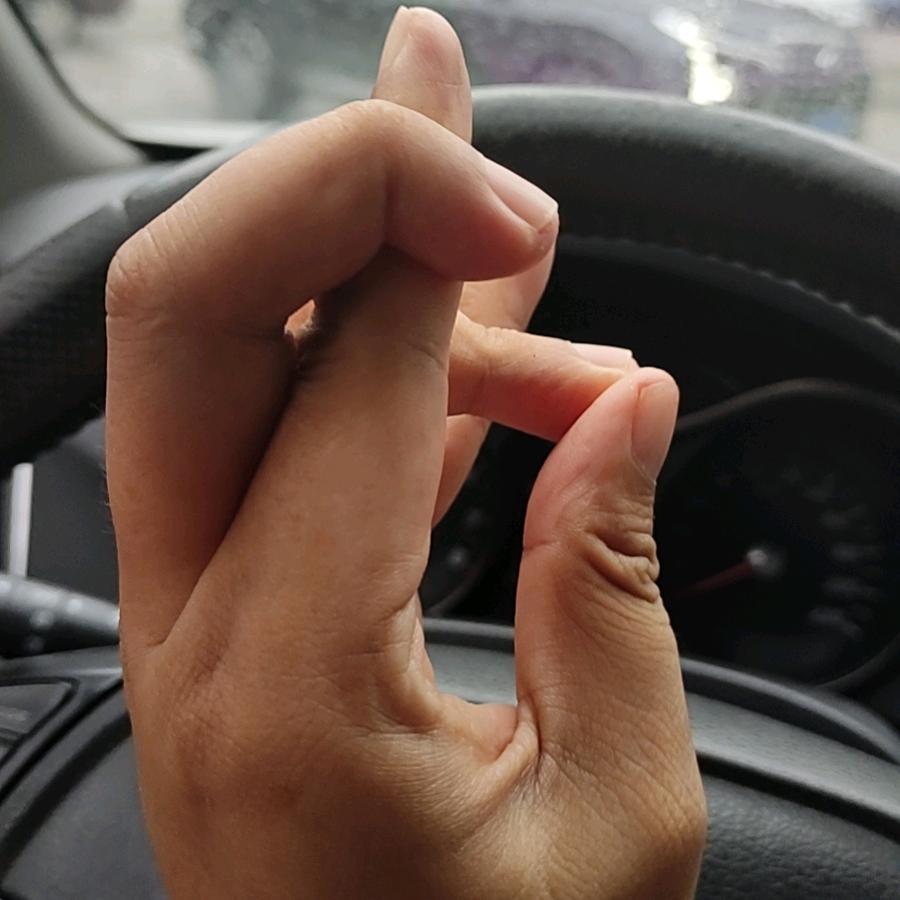 我本将心赵明月