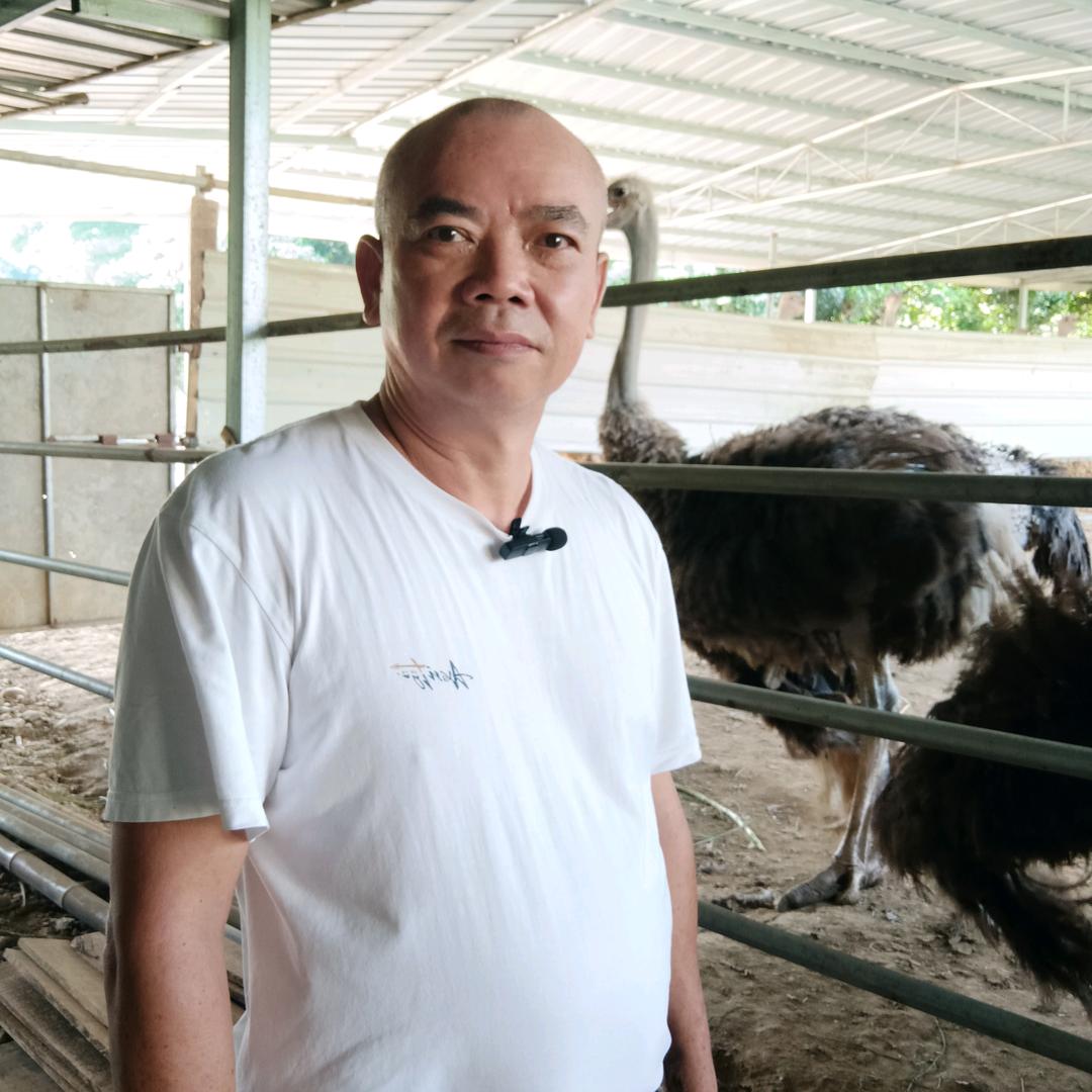 龙湾金成农品坊