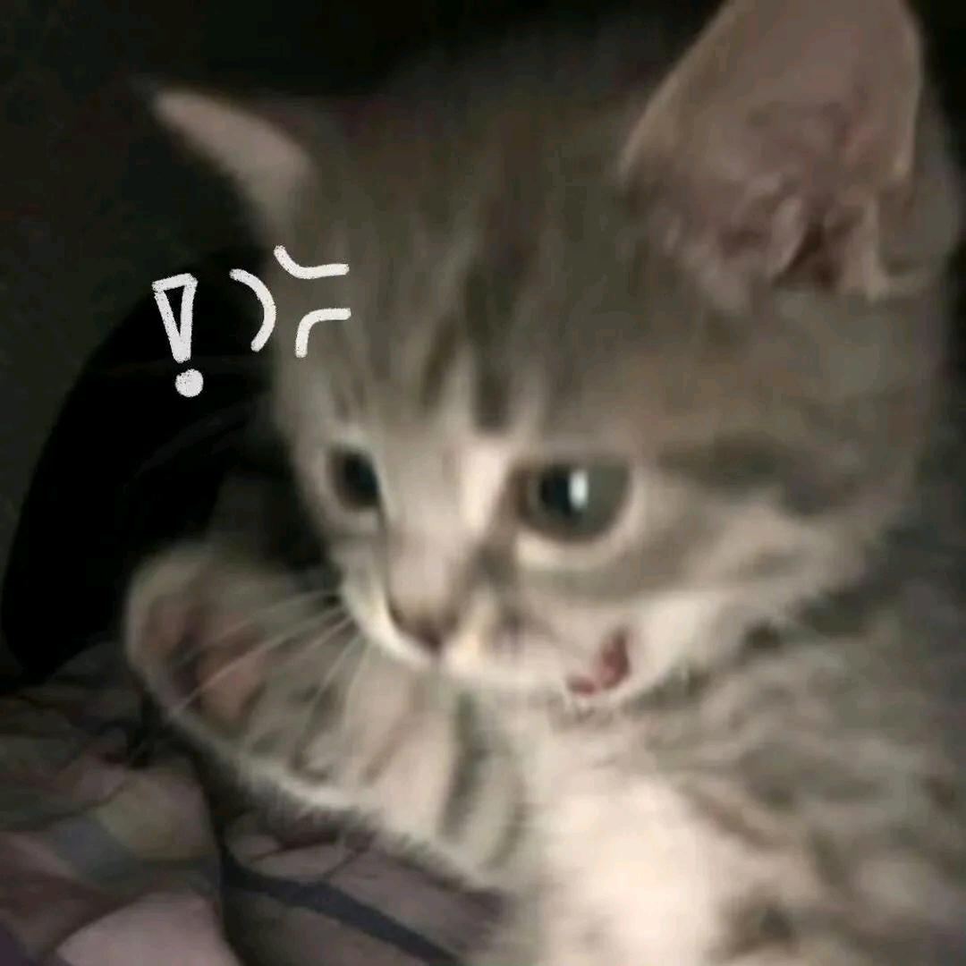 aa