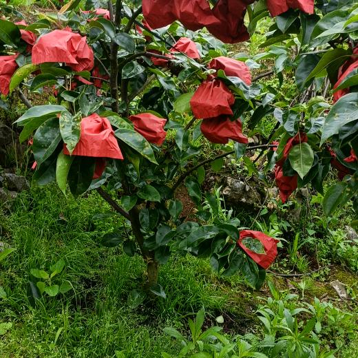 开心快乐每一天