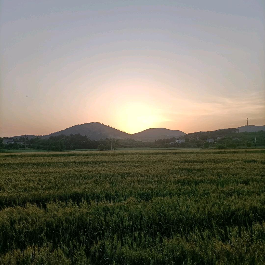 糊涂人生，义昭粮油，