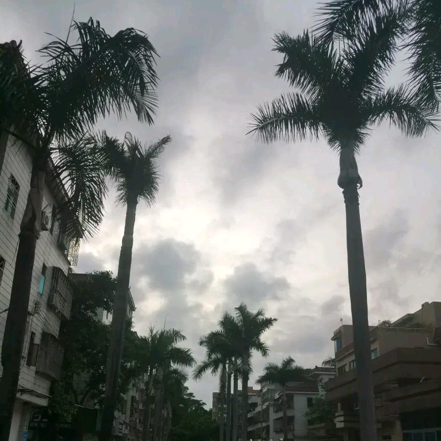 一帆风顺&