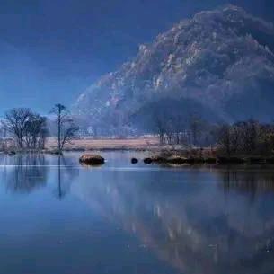 道士一条龙金方才