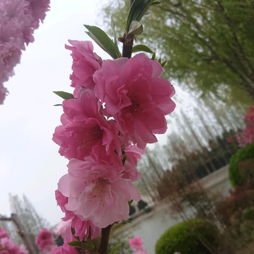 太阳当空照