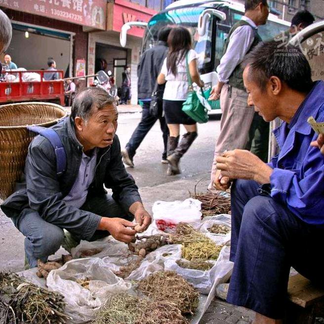 采药人