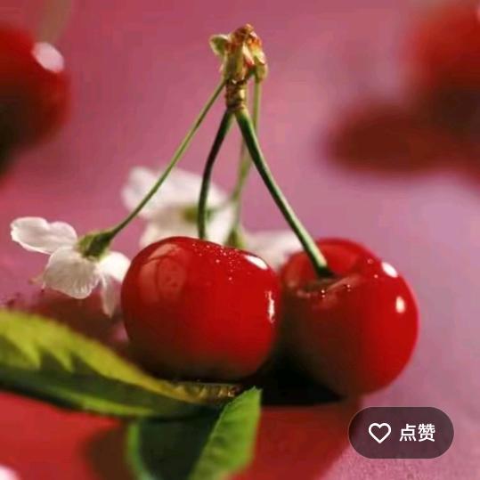 草莓🍓