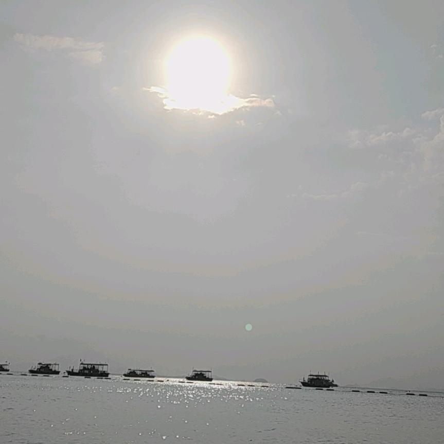 思洛宝宝