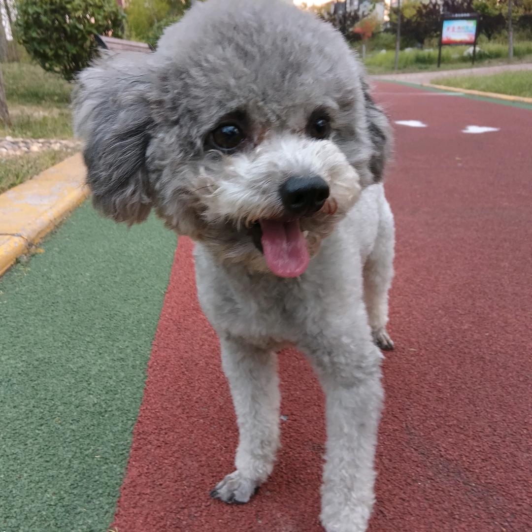 晨光